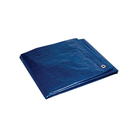 Foremost Tarp 6 ft x 8 ft Tarp, Blue 80068